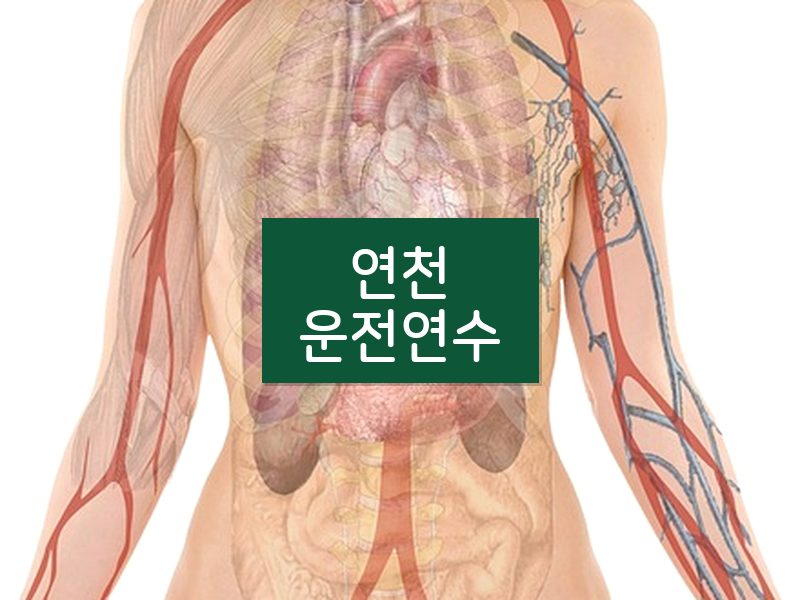 연천운전연수 후기