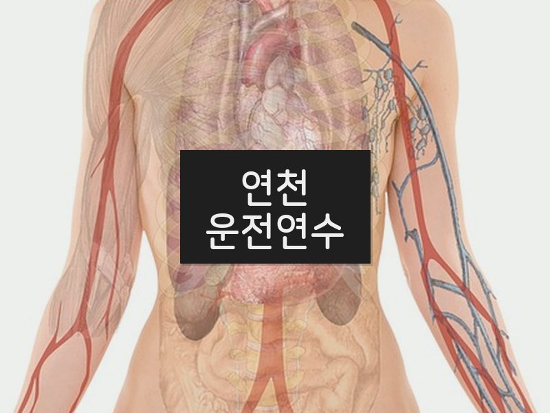 연천운전연수 후기