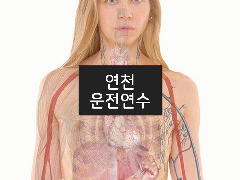 연천운전연수 후기