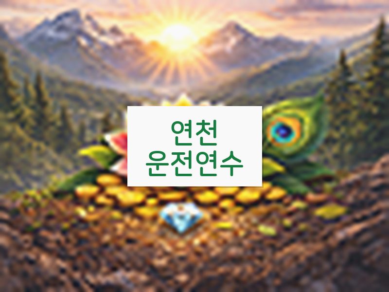 연천운전연수 후기