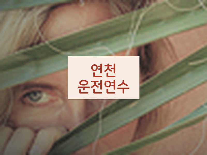 연천운전연수 후기