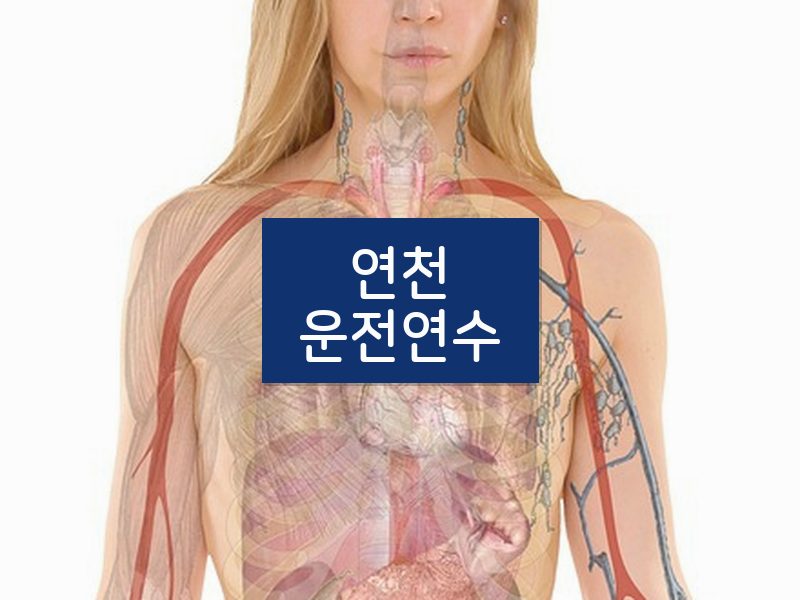 연천운전연수 후기