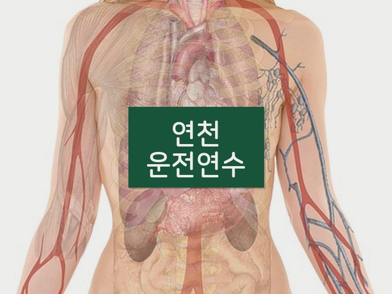 연천운전연수 후기