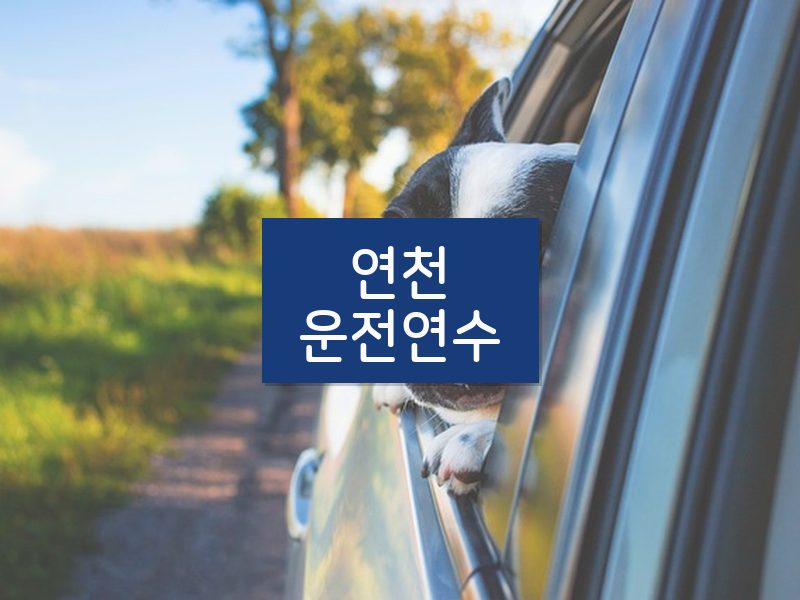 연천운전연수 후기