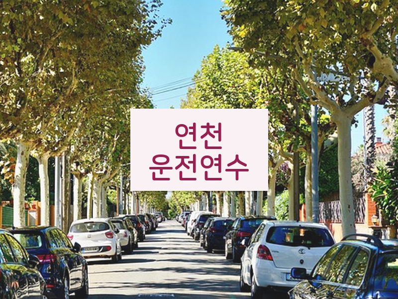 연천운전연수 후기