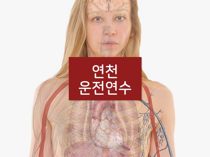 연천운전연수 후기