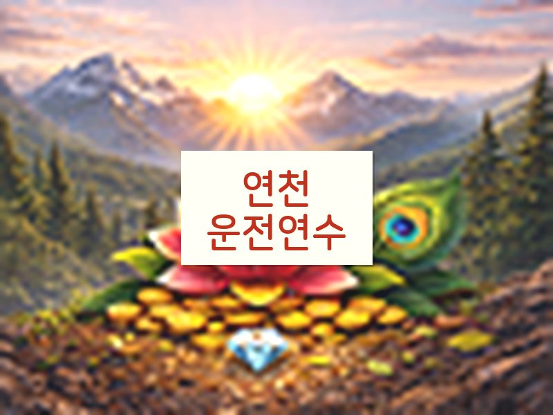 연천운전연수 후기