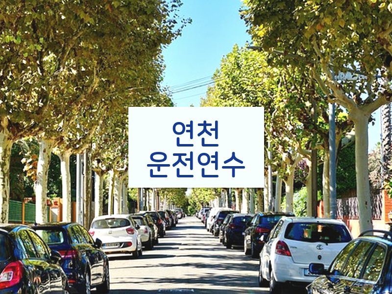 연천운전연수 후기