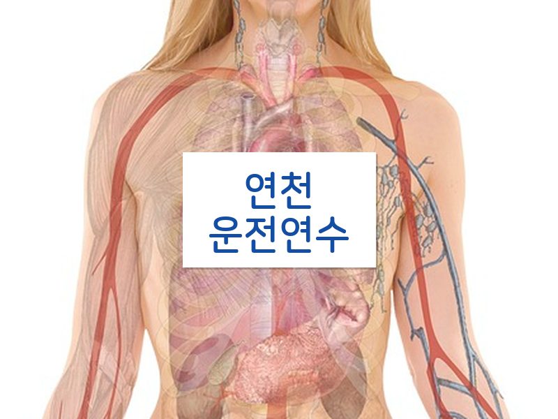 연천운전연수 후기