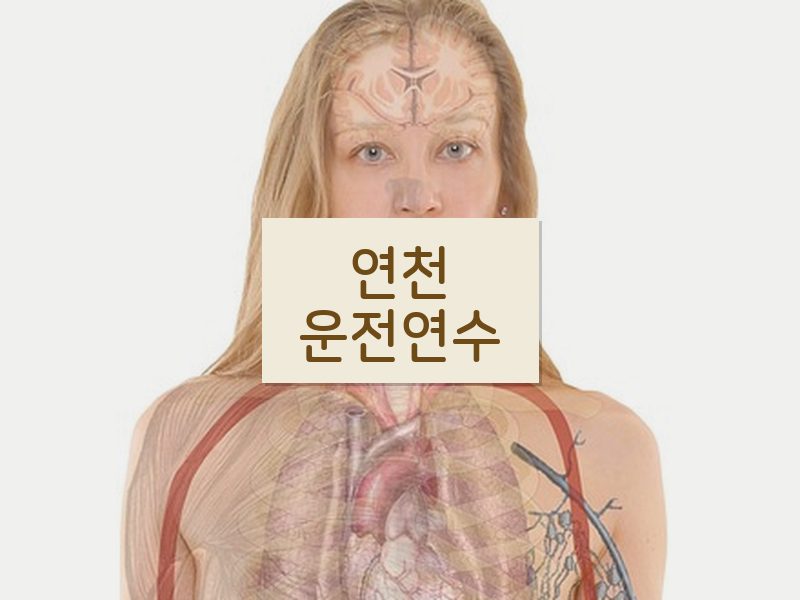 연천운전연수 후기