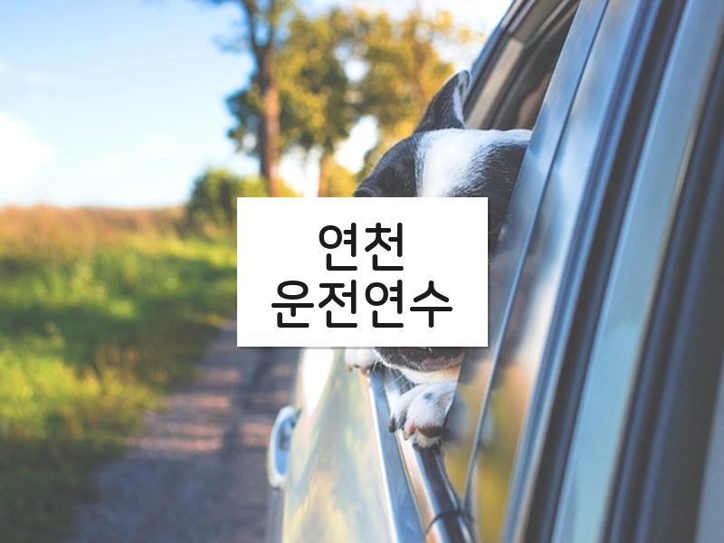 연천운전연수 후기