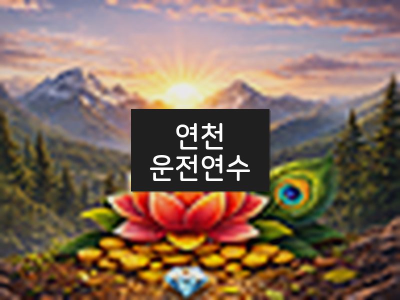 연천운전연수 후기