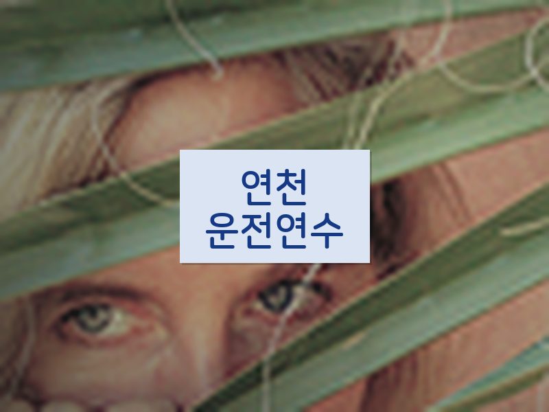 연천운전연수 후기