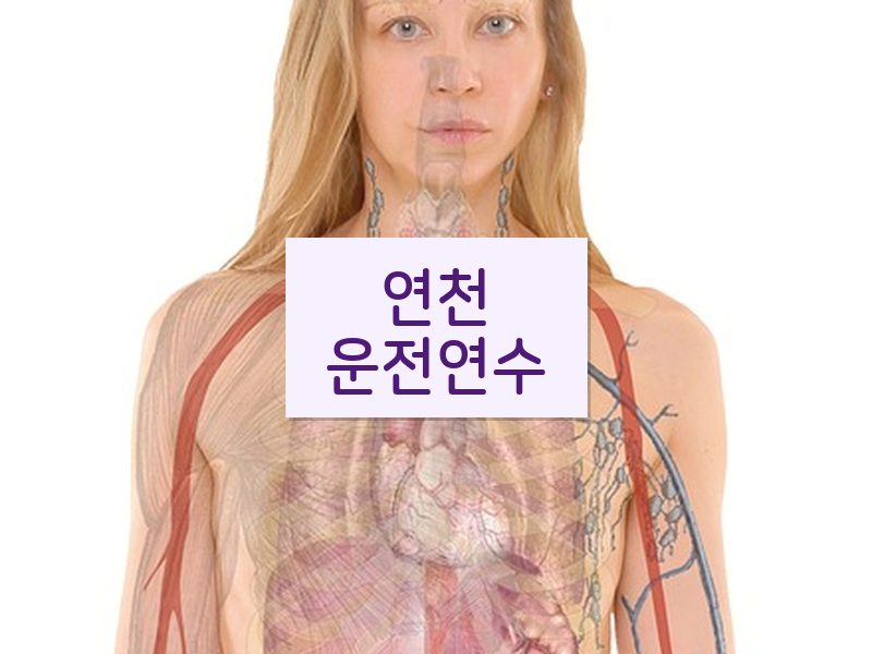 연천운전연수 후기