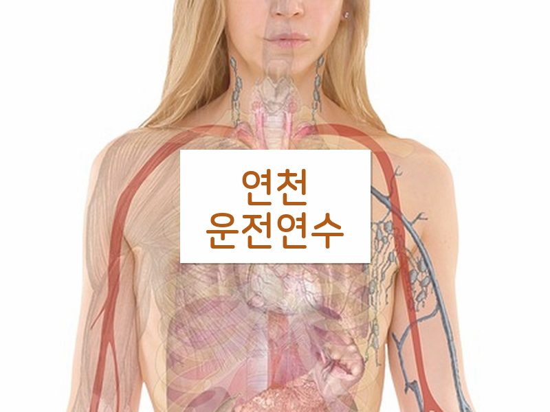 연천운전연수 후기