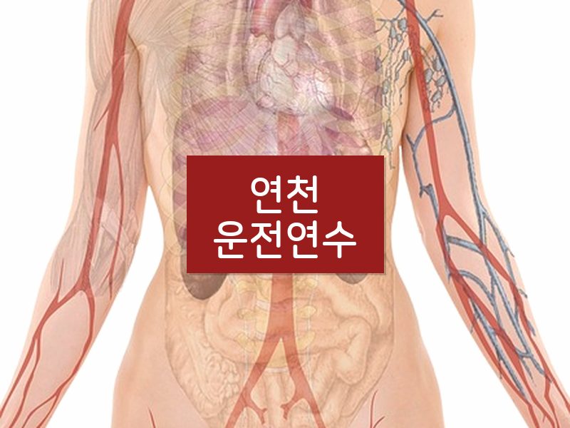 연천운전연수 후기