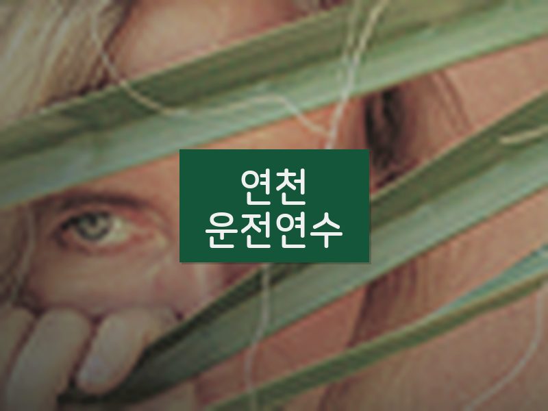 연천운전연수 후기