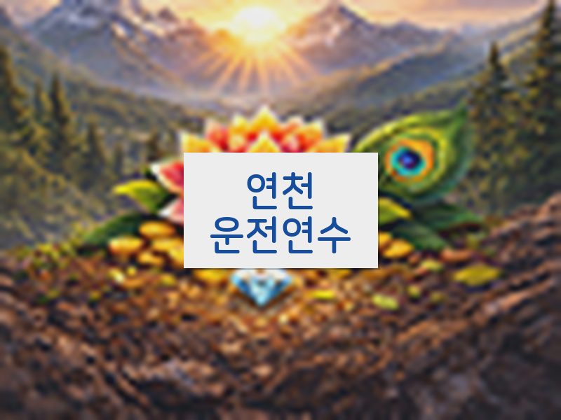 연천운전연수 후기