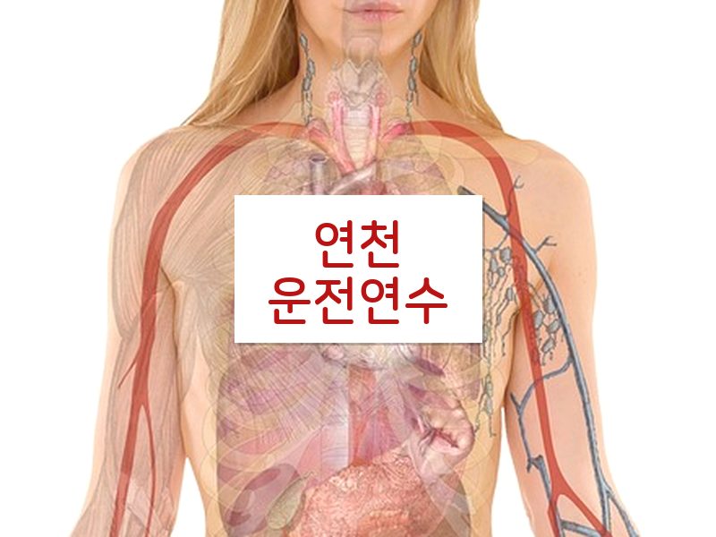 연천운전연수 후기