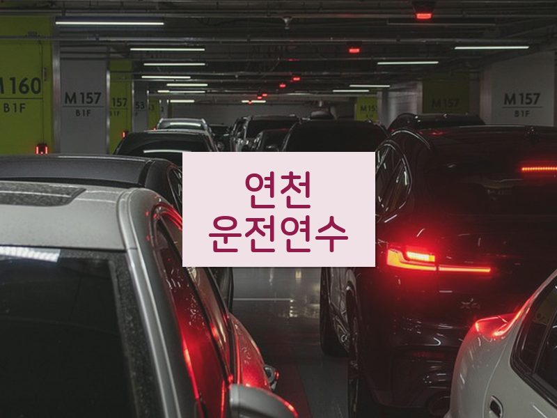 연천운전연수 후기