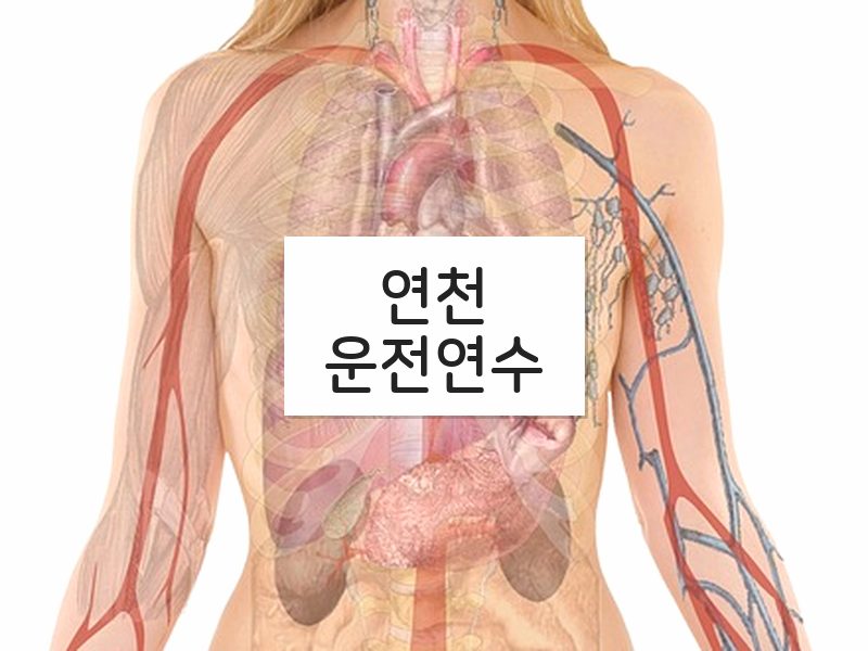 연천운전연수 후기