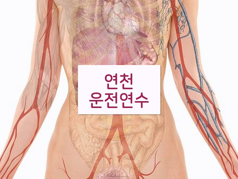 연천운전연수 후기