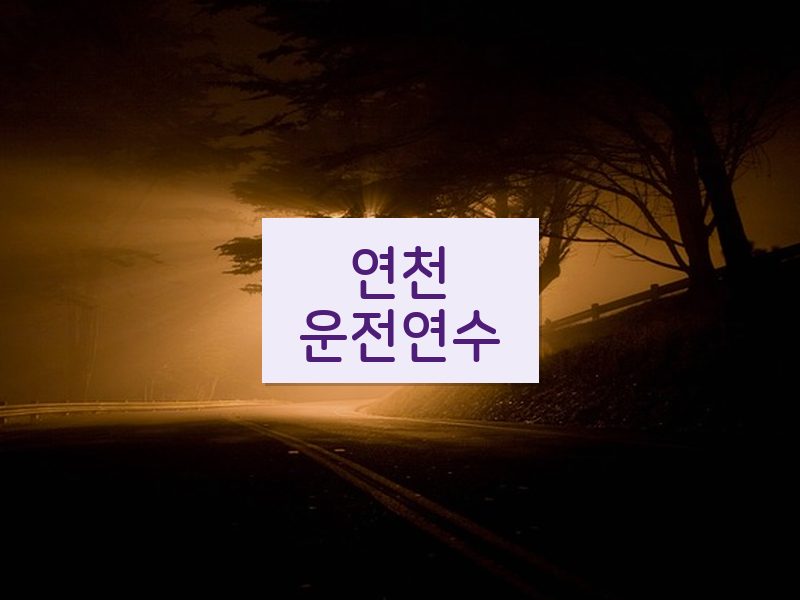연천운전연수 후기