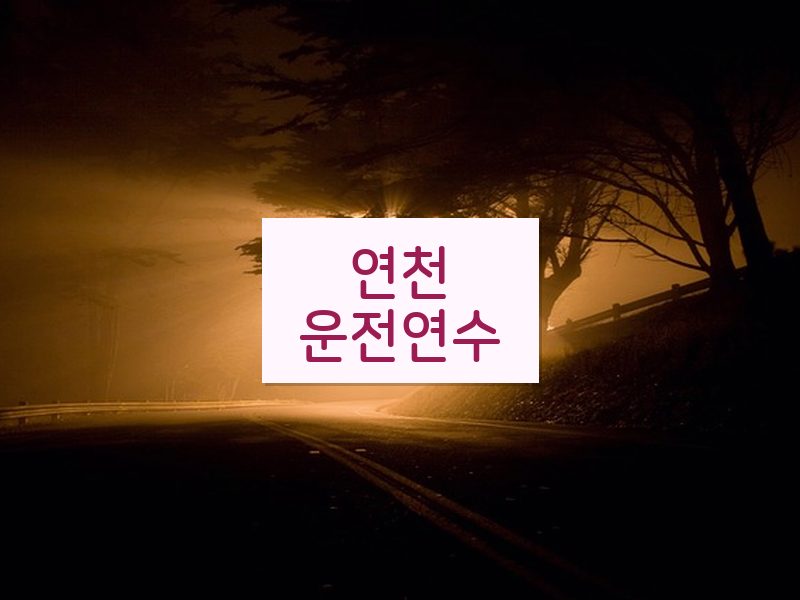 연천운전연수 후기