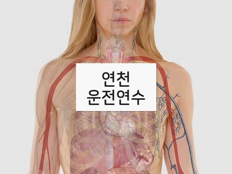 연천운전연수 후기