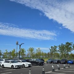 육아맘 운전 도전기