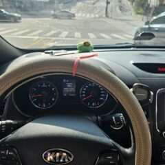 지하주차장 이색 주차