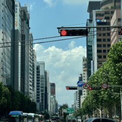 비오는 날 운전 콘venience