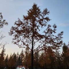 연천 쪽 야간 주차 연수