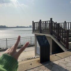 고속도로 연수 후기