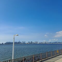 연천 근처 도로 운전 실수