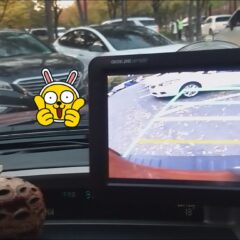 연천 시내 도로 연습 후기 후기 이미지