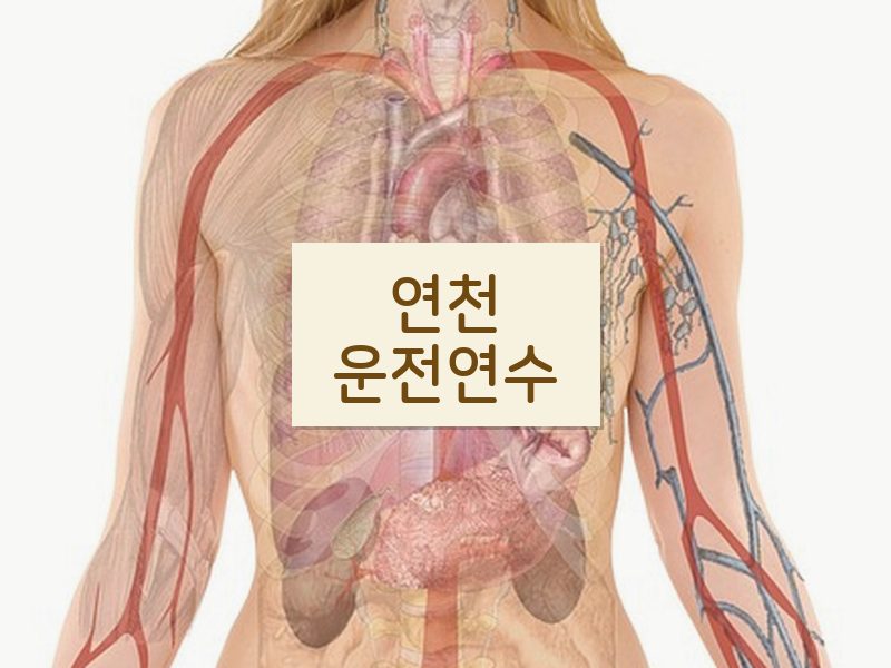 연천운전연수 후기