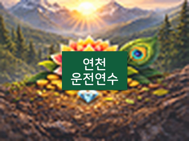 연천운전연수 후기