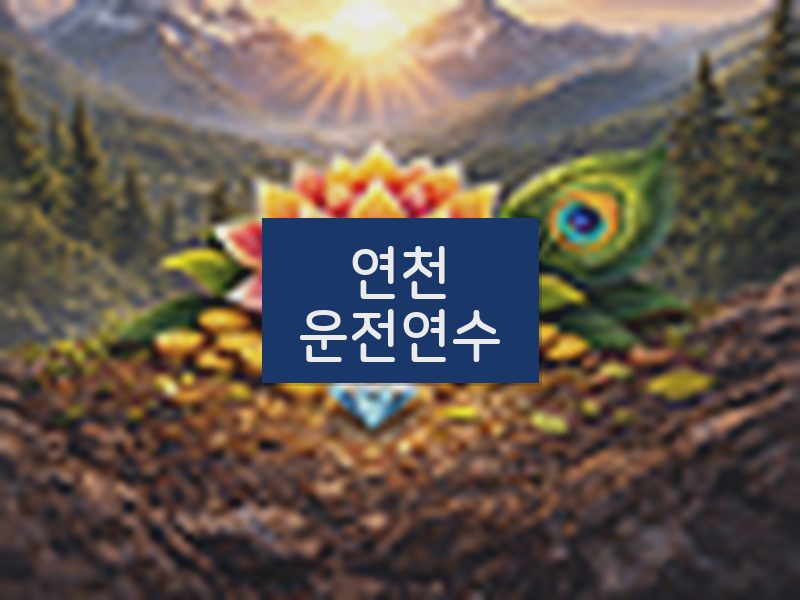 연천운전연수 후기