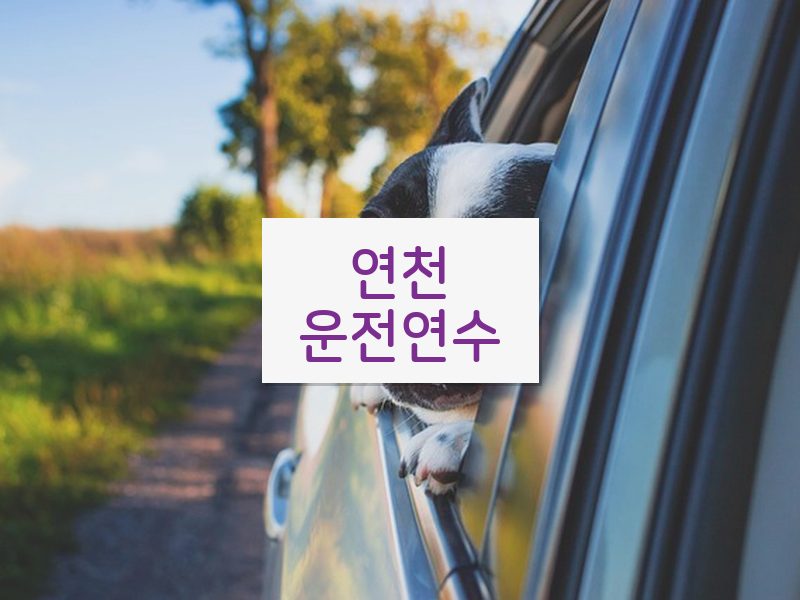 연천운전연수 후기